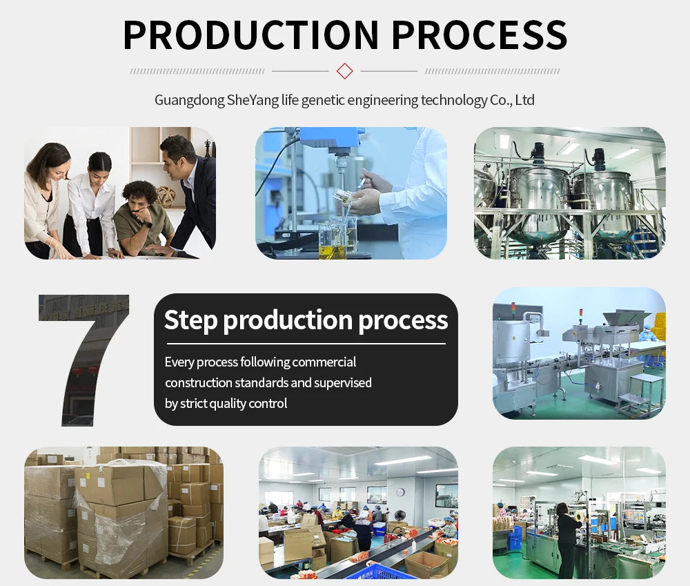 OEM Supplement Mushroom Mixture Capsules Reishi Mushroom Extract Capsule Complex Mushroom Mix Blend Capsules