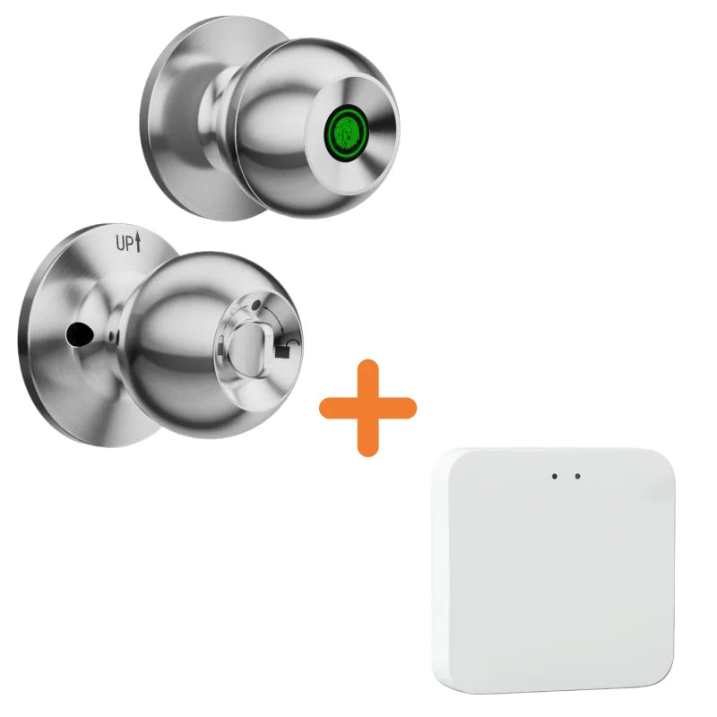 Doorbell App Key Cutting Camera Control Fingerprint Deadlock Lock Pick Home Bedroom Cylinder TUYA Spherical Smart Ball Lock