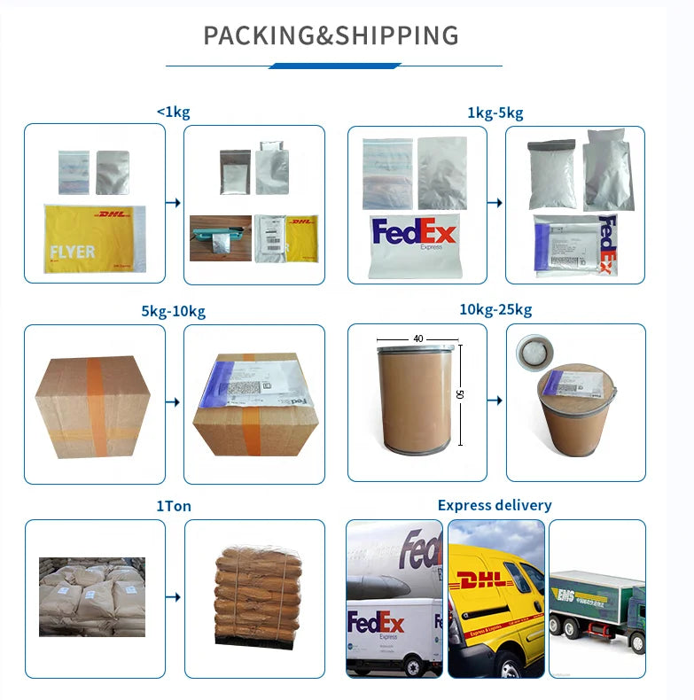 OEM Supplement Moringa Oleifera Leaf Extract Capsule Price Support Immune Bulk Organic Moringa Leaves Capsules