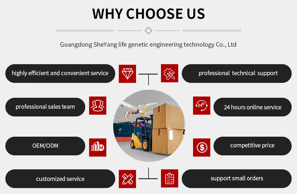 OEM Supplement Mushroom Mixture Capsules Reishi Mushroom Extract Capsule Complex Mushroom Mix Blend Capsules