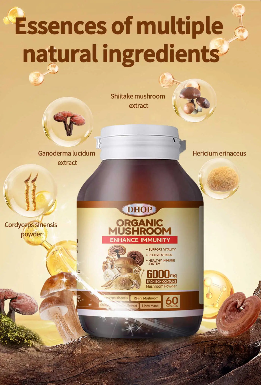 OEM Supplement Mushroom Mixture Capsules Reishi Mushroom Extract Capsule Complex Mushroom Mix Blend Capsules