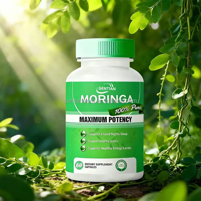 OEM Supplement Moringa Oleifera Leaf Extract Capsule Price Support Immune Bulk Organic Moringa Leaves Capsules