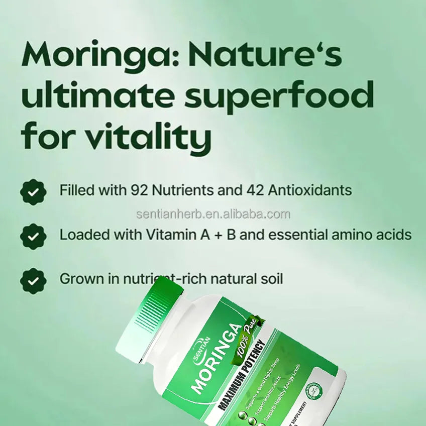 OEM Supplement Moringa Oleifera Leaf Extract Capsule Price Support Immune Bulk Organic Moringa Leaves Capsules