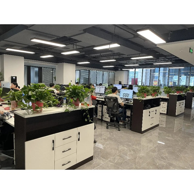 OEM Hot Selling Organic Pure Shilajit Capsule Boosting Energy Antioxidant Sleep Support for Adult Men & Women