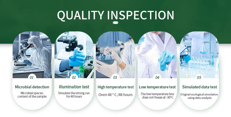 OEM Supplement Mushroom Mixture Capsules Reishi Mushroom Extract Capsule Complex Mushroom Mix Blend Capsules