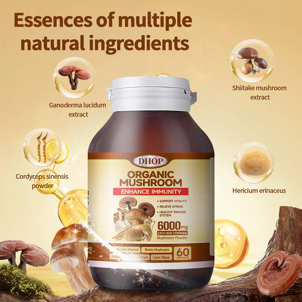 OEM Supplement Mushroom Mixture Capsules Reishi Mushroom Extract Capsule Complex Mushroom Mix Blend Capsules